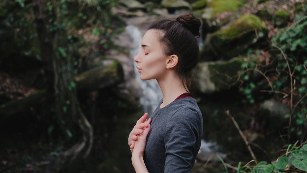 Revitalist and Wake Network Launch Psychedelic Retreats