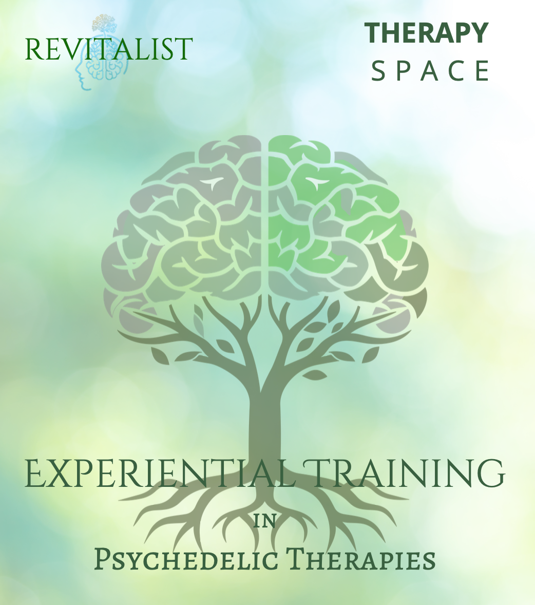Therapy Space x Revitalist Experiential Training