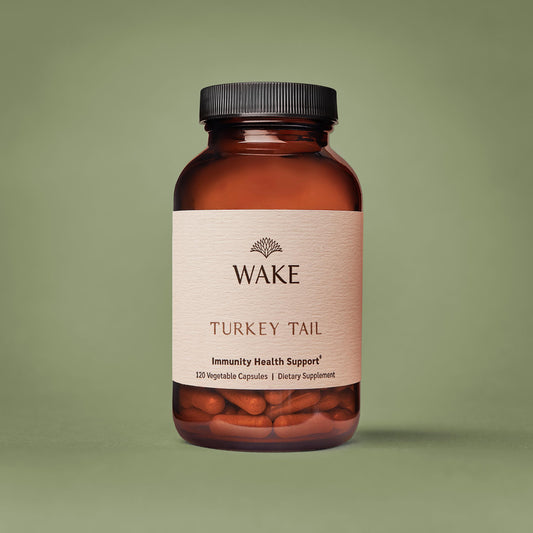 Turkey Tail - Immunity Support