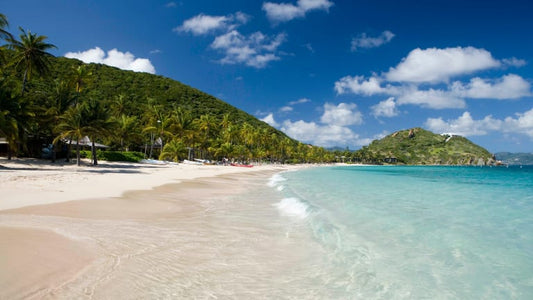 Wellness Retreats
